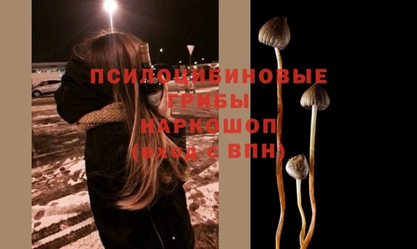 таблы Армянск