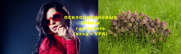 скорость Аркадак