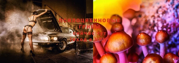 скорость Аркадак